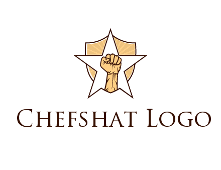 fist with star in shield