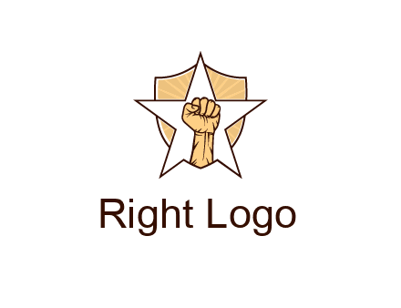 fist with star in shield