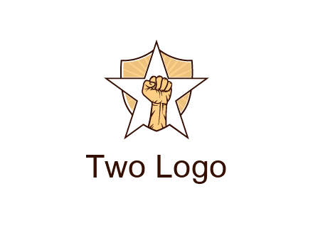 fist with star in shield
