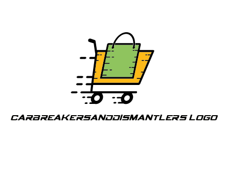 shopping bag in shopping cart