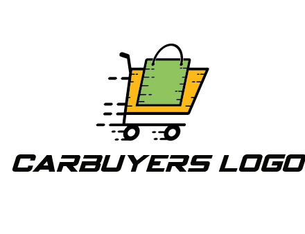 shopping bag in shopping cart