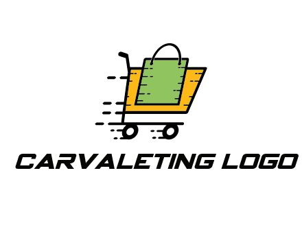 shopping bag in shopping cart