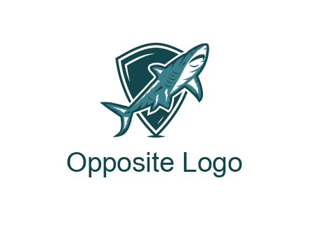 shield behind shark