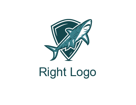 shield behind shark