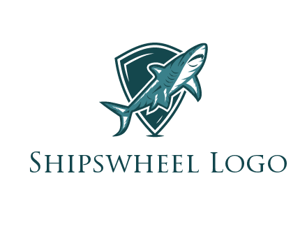 shield behind shark