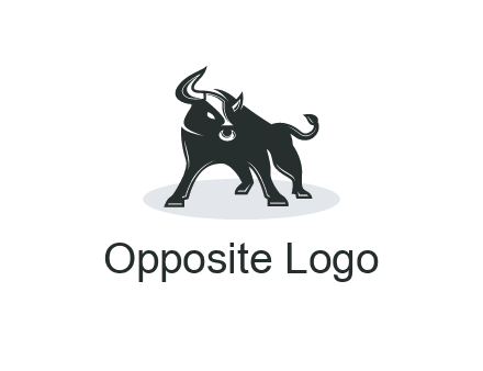 bull standing up