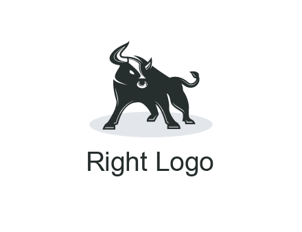 bull standing up