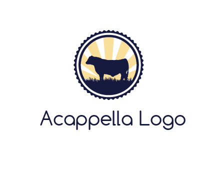 bull in field in circle