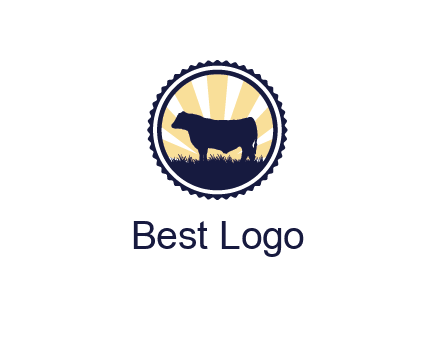 bull in field in circle
