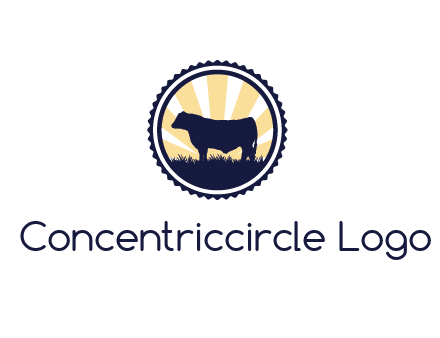 bull in field in circle