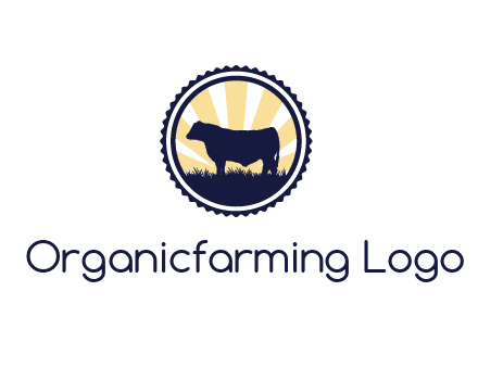 bull in field in circle