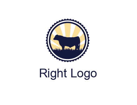 bull in field in circle