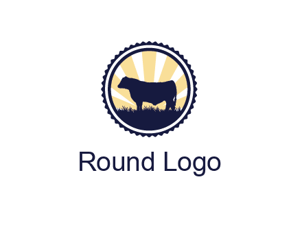 bull in field in circle