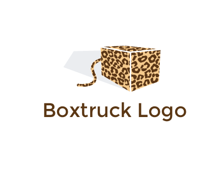 box with tail and cheetah print
