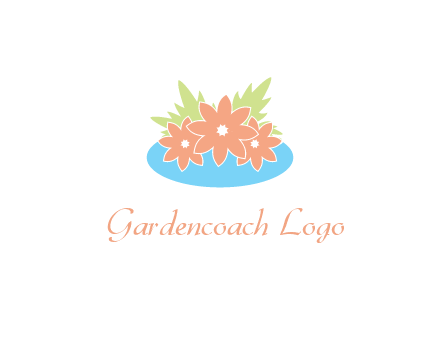 flowers and leaves in pond