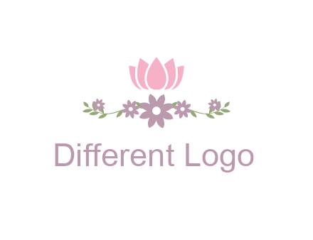 lotus flower with leaves