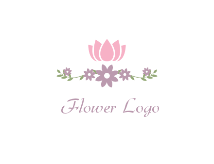 lotus flower with leaves