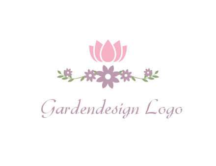 lotus flower with leaves