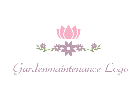 lotus flower with leaves