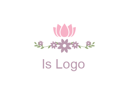 lotus flower with leaves