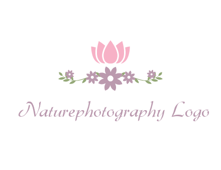 lotus flower with leaves