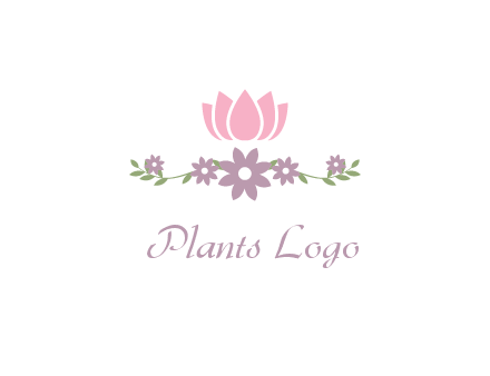 lotus flower with leaves