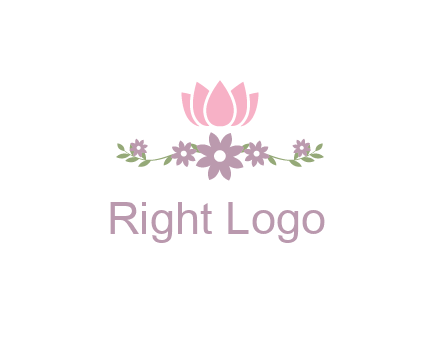 lotus flower with leaves