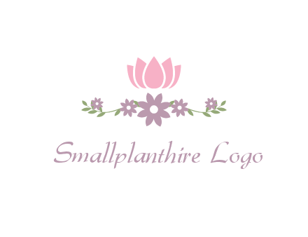 lotus flower with leaves