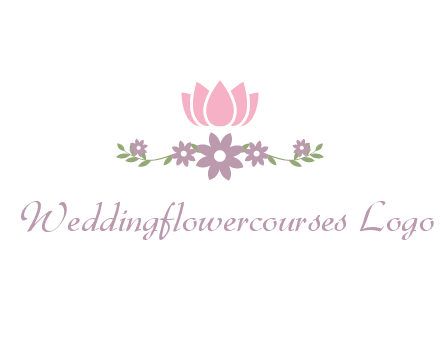 lotus flower with leaves
