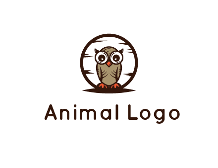 circle behind owl with big eyes
