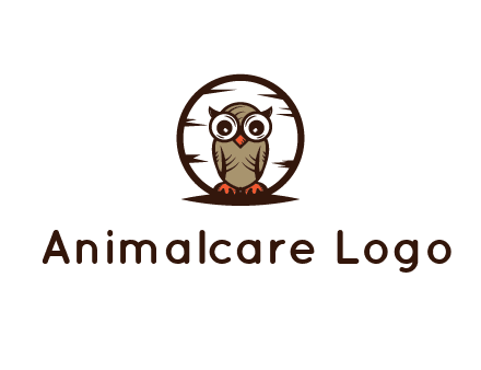 circle behind owl with big eyes