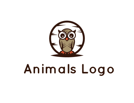 circle behind owl with big eyes