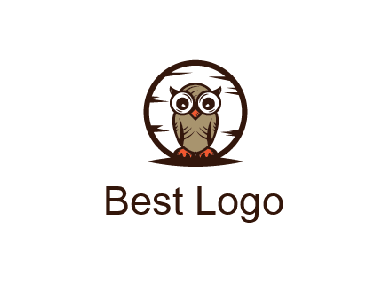 circle behind owl with big eyes