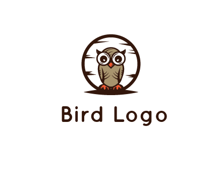 circle behind owl with big eyes