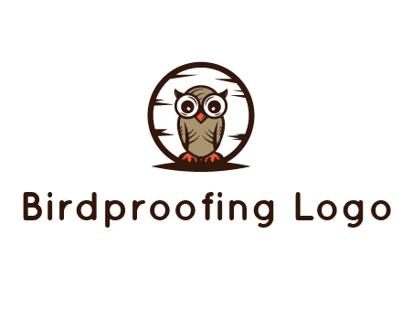 circle behind owl with big eyes