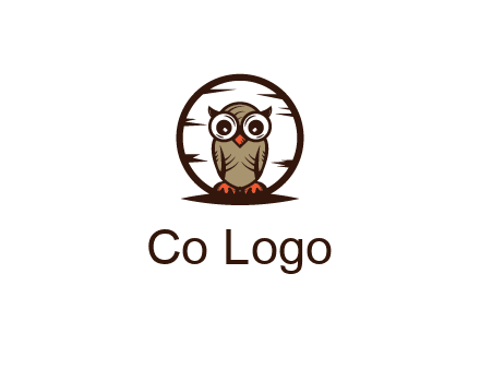 circle behind owl with big eyes