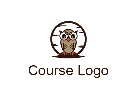 circle behind owl with big eyes