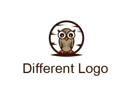 circle behind owl with big eyes