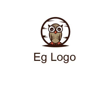 circle behind owl with big eyes
