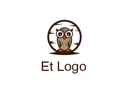 circle behind owl with big eyes