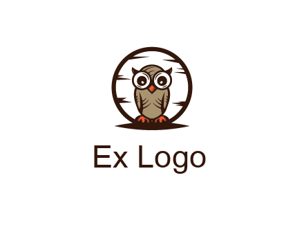 circle behind owl with big eyes