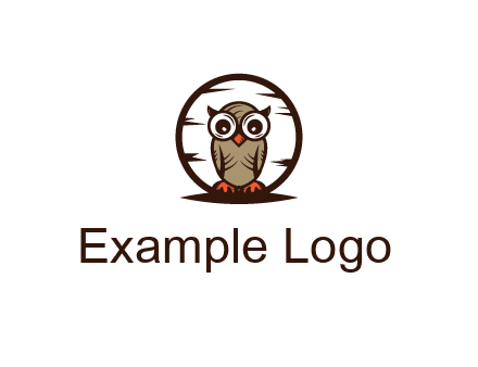 circle behind owl with big eyes