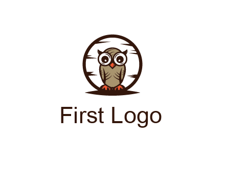 circle behind owl with big eyes