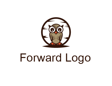 circle behind owl with big eyes