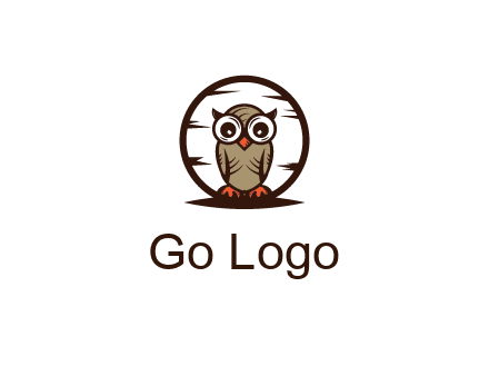 circle behind owl with big eyes
