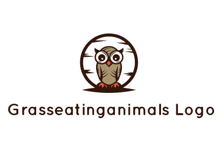 circle behind owl with big eyes