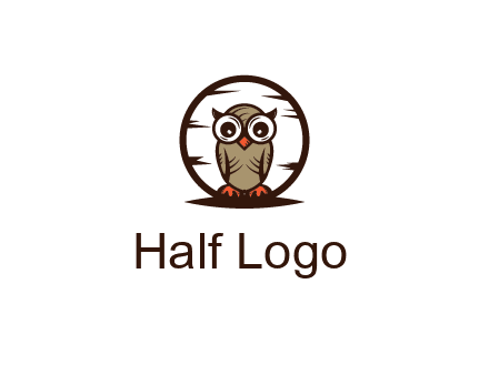 circle behind owl with big eyes