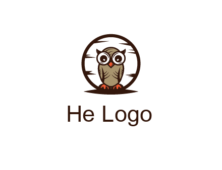 circle behind owl with big eyes