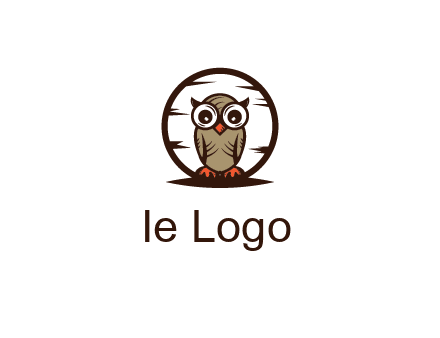 circle behind owl with big eyes