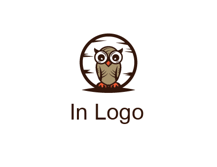 circle behind owl with big eyes